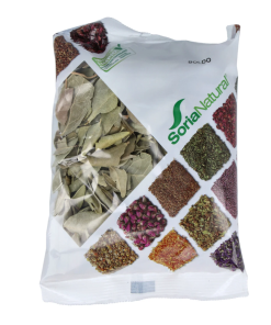 Boldo – Planta en bolsa