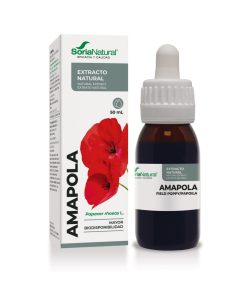 Alternative view of Amapola Extracto