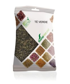 Té Verde – Planta en bolsa